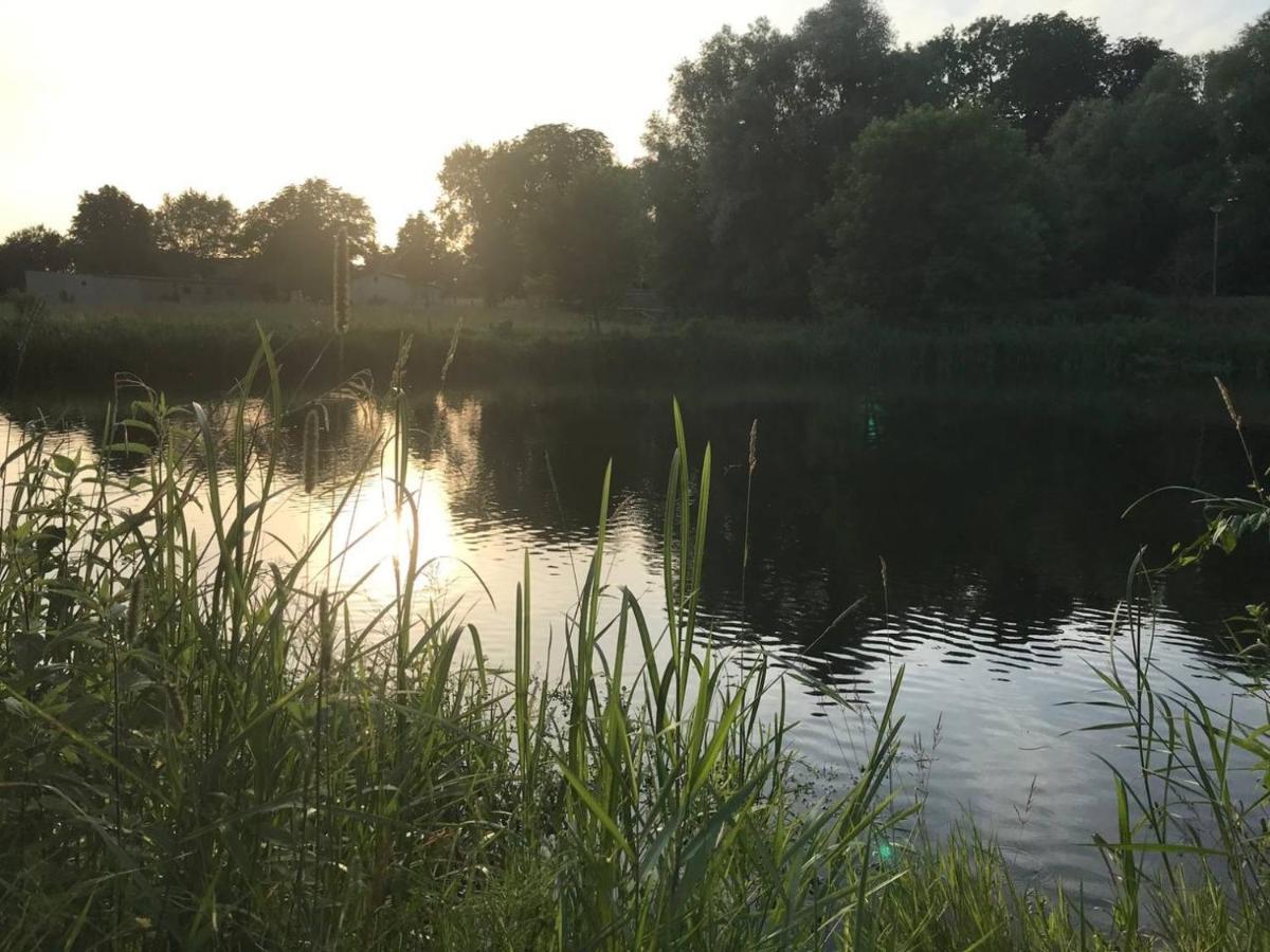 Star Camp Cosa, Ferienwohnungen, Camping, Schlaffaesser Friedland  Eksteriør billede